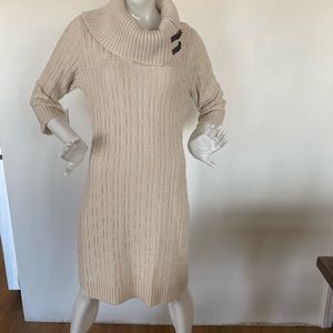 Beautiful Sweater Dress Tunic
